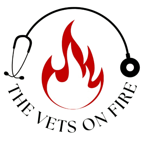 Vets On Fire Logo